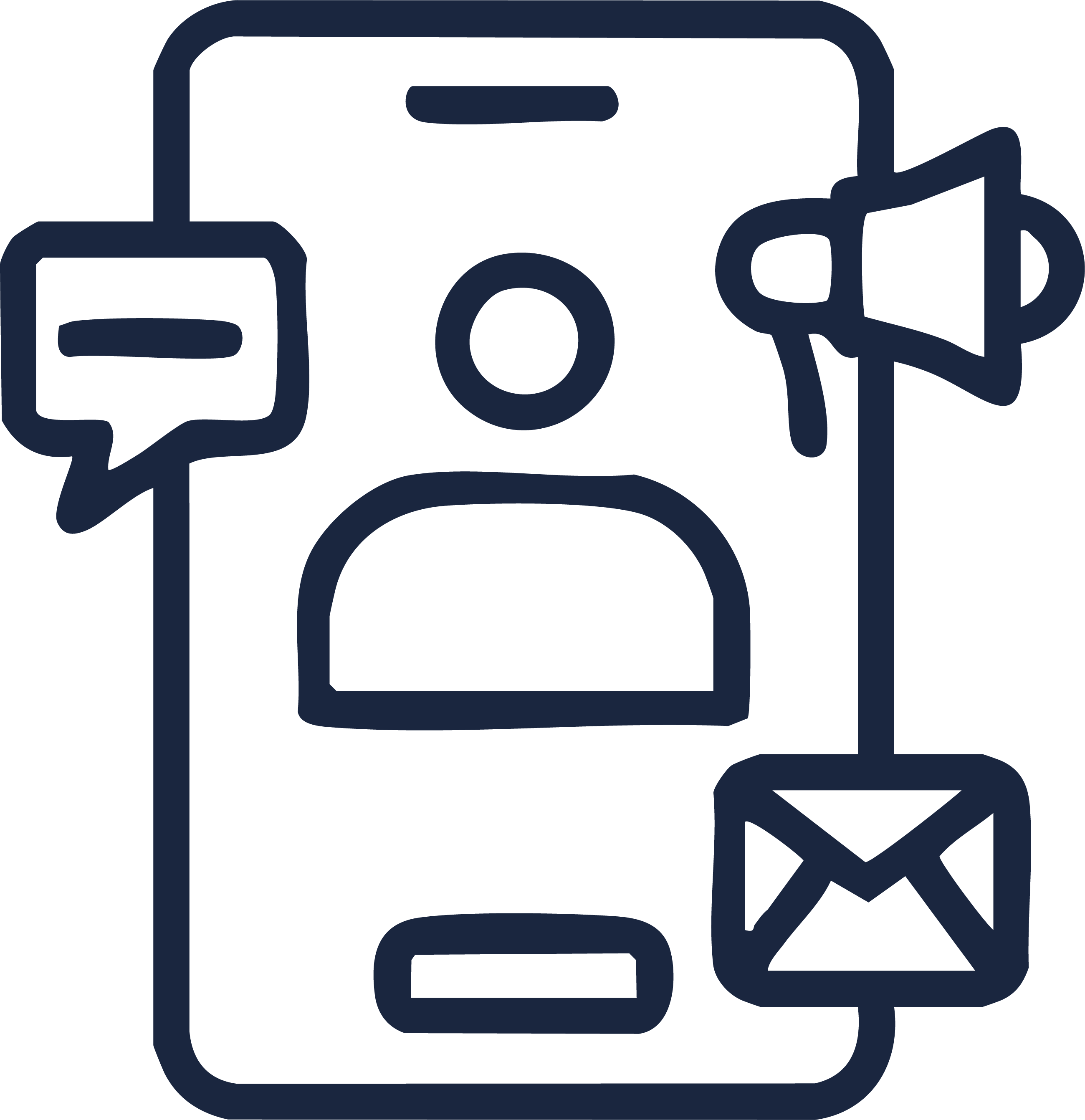 Programa Anual de Comunicacin Social o equivalente